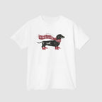 Dachshund Baby